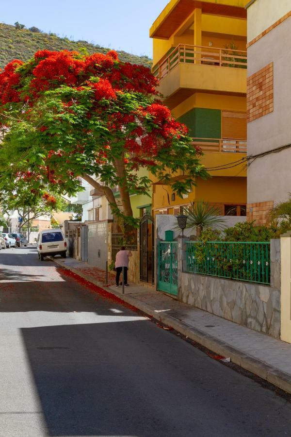 סנטה קרוז דה טנריף Casa Dona Carmela Guesthouse - Adults Only מראה חיצוני תמונה